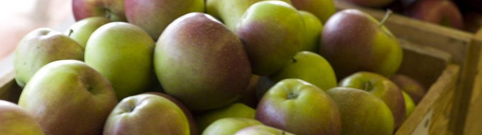 apples